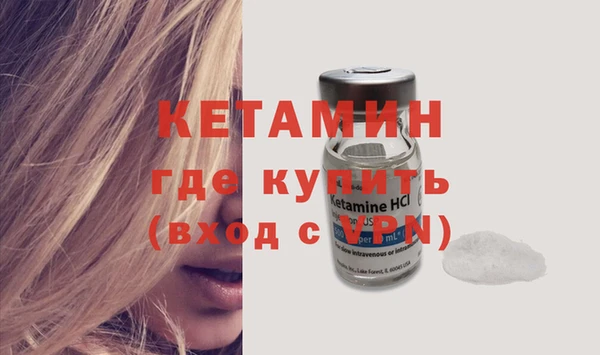 индика Инта