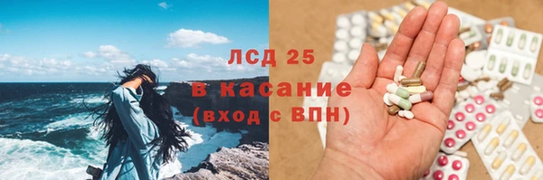 индика Инта