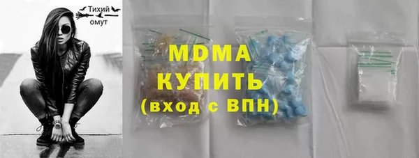 индика Инта
