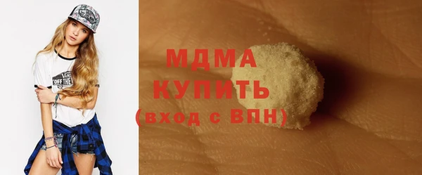 индика Инта
