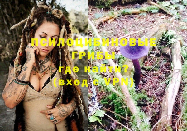 бошки Иннополис