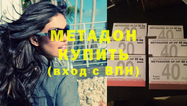 индика Инта