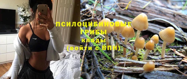 СК Инсар