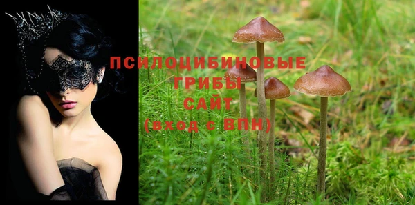 индика Инта
