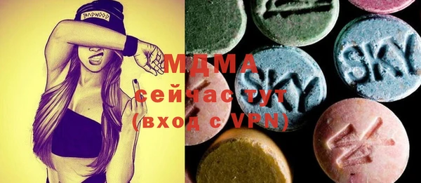 индика Инта