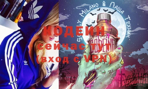индика Инта