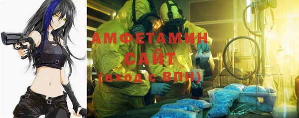 индика Инта