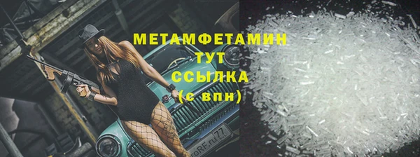 индика Инта