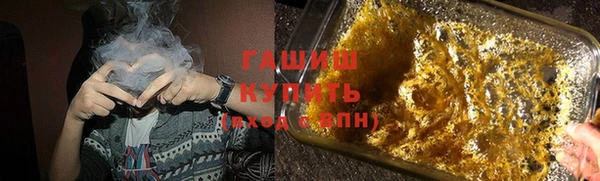 индика Инта