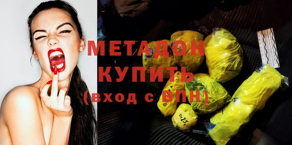индика Инта