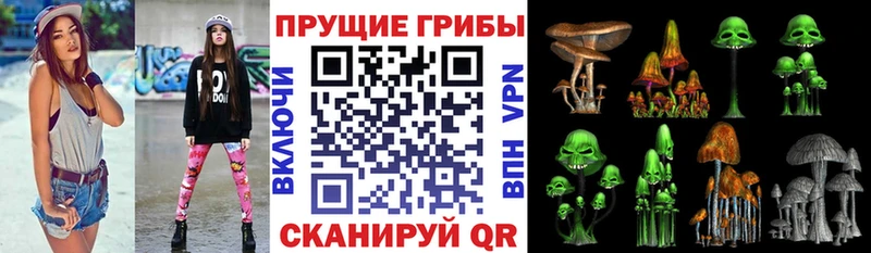 Псилоцибиновые грибы Magic Shrooms  omg маркетплейс  Козловка  где найти  